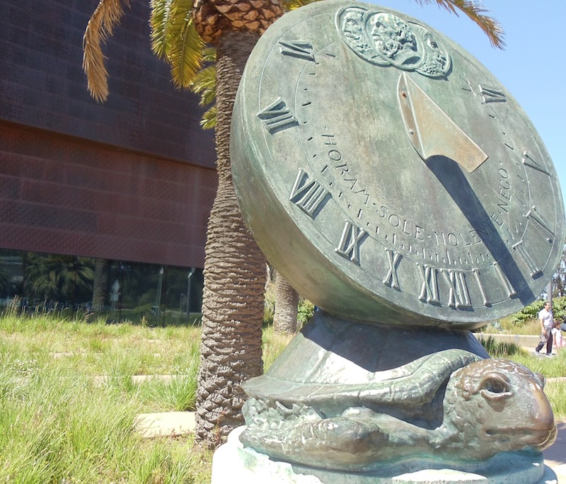 The memory clinic would have fun questioning the turtle of time