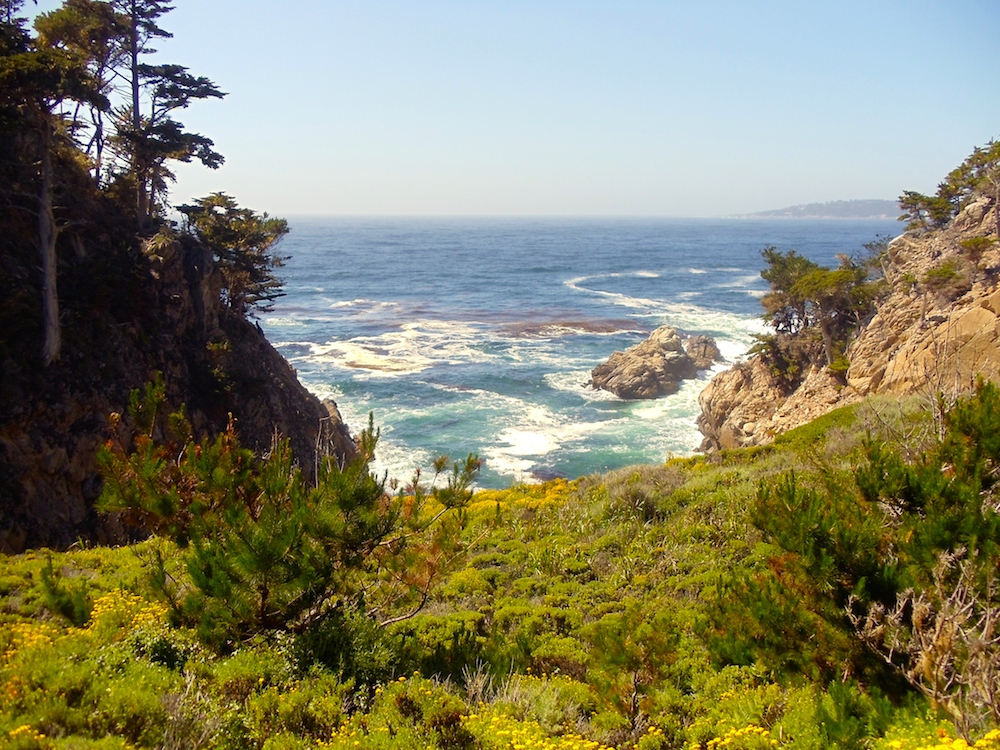 DSC04512 - Version 2